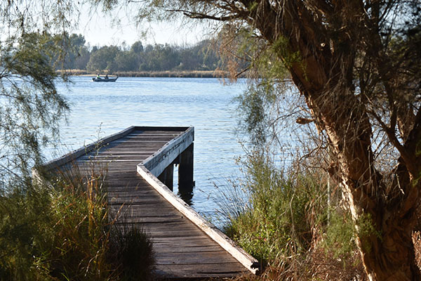 jetty