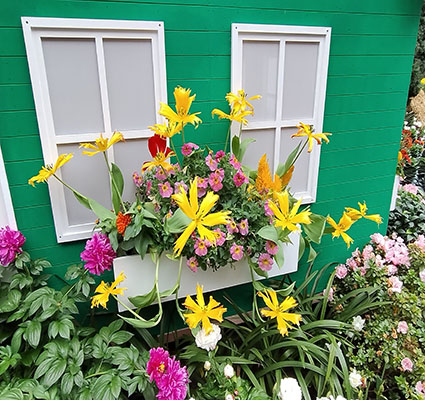 A Flower box attached to a cottage