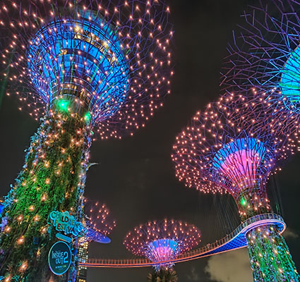 The Supertrees at Gardens by the Bay in Singapore